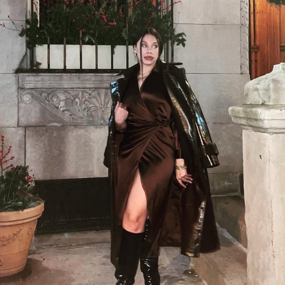 Zara Satin Brown Long Sleeve Dress